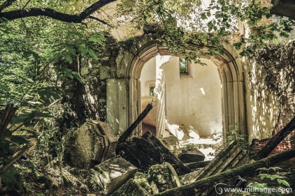 photo-urbex-chateau-abandonne-ruines-vegetation-decay-lost-place-3